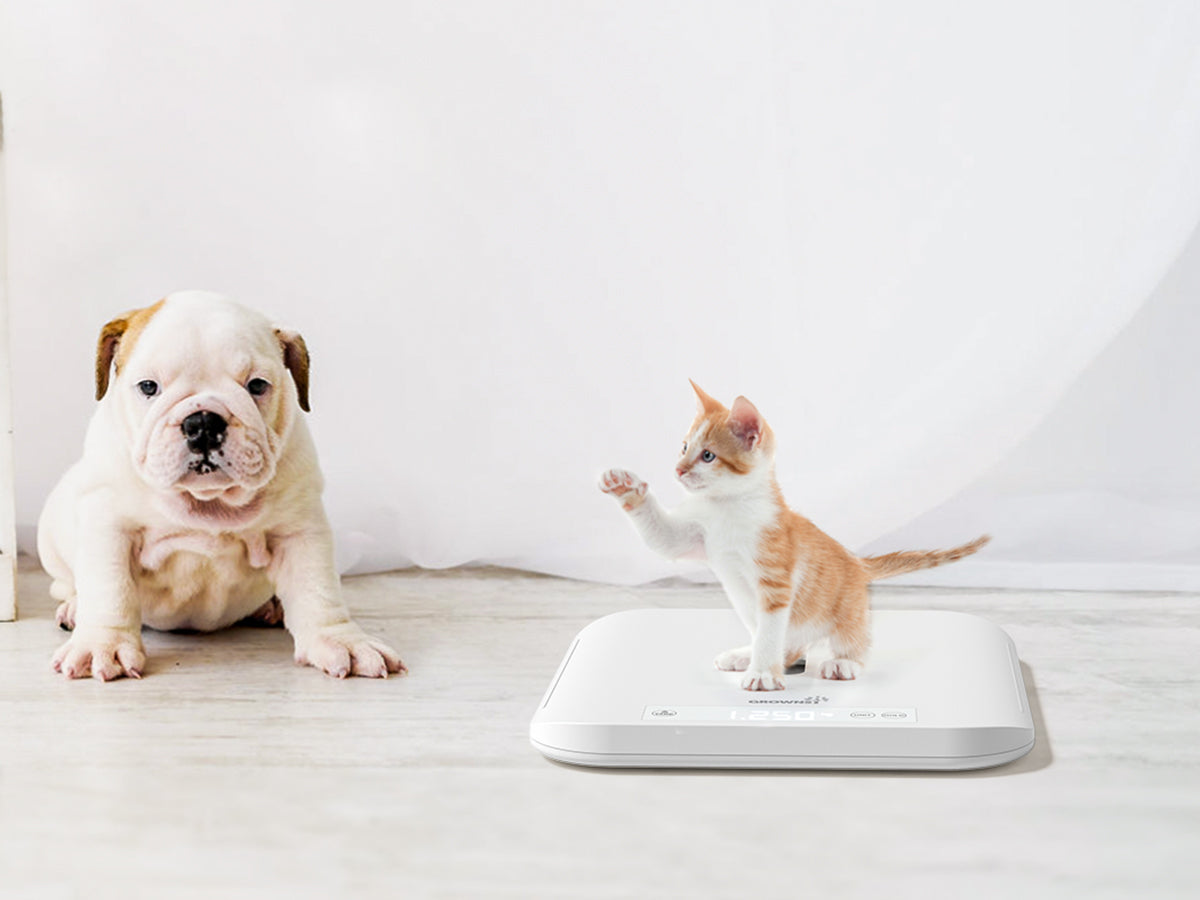 Grownsy - Multifunctional Weight Scale for Baby & Pet with Hold Function - LED Screen