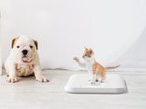 Grownsy - Multifunctional Weight Scale for Baby & Pet with Hold Function - LED Screen